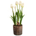 17.5" Silk Tulip & Bulb Flower Arrangement w/Cement Pot -White (pack of 2) - LFT138-WH