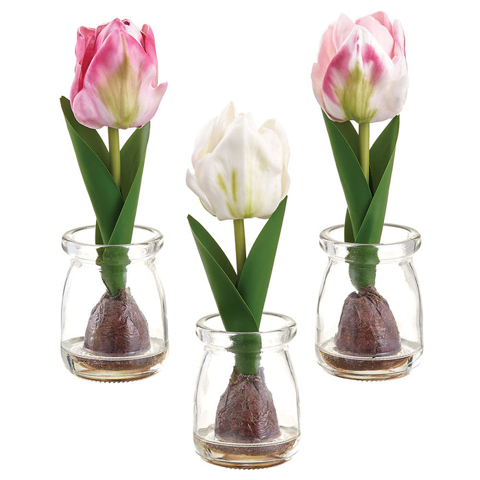 7.5" Set Of Tulips & Bulb Silk Flower Arrangements w/Glass Vase -2 Tone Pink - LFT149-PK/TT