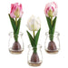7.5" Set Of Tulips & Bulb Silk Flower Arrangements w/Glass Vase -2 Tone Pink - LFT149-PK/TT
