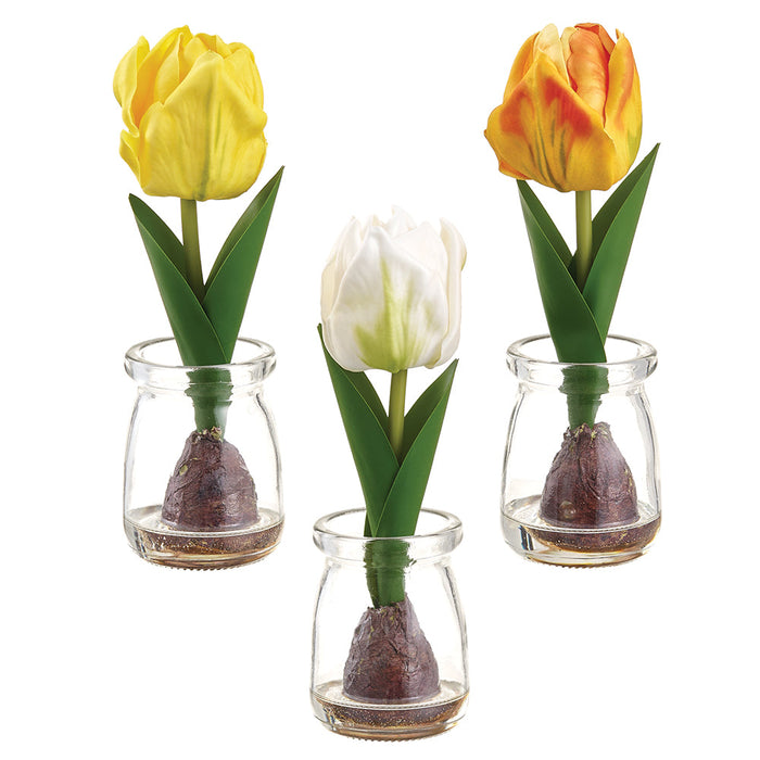 7.5" Set Of Tulips & Bulb Silk Flower Arrangements w/Glass Vase -Yellow/Orange - LFT149-YE/OR