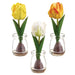7.5" Set Of Tulips & Bulb Silk Flower Arrangements w/Glass Vase -Yellow/Orange - LFT149-YE/OR