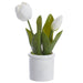9" Tulip Silk Flower Arrangement w/Terra Cotta Vase -White (Pack of 12) - LFT239-WH