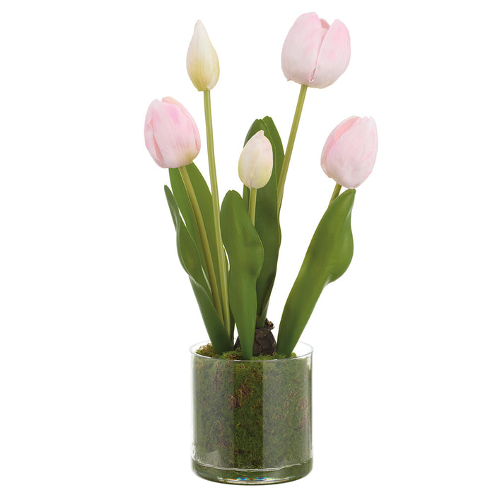 15" Tulip Artificial Flower Arrangement w/Clear Plastic Pot -Blush (Pack of 6) - LFT290-BS