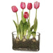 13" Silk Tulip Flower & Bulb Arrangement w/Glass Vase -Pink (pack of 4) - LFT545-PK