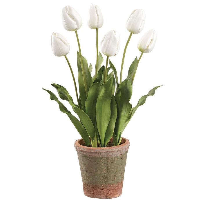 23" Tulip Silk Flower Arrangement w/Clay Pot -Cream (Pack of 2) - LFT581-CR