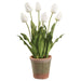 23" Tulip Silk Flower Arrangement w/Clay Pot -Cream (Pack of 2) - LFT581-CR