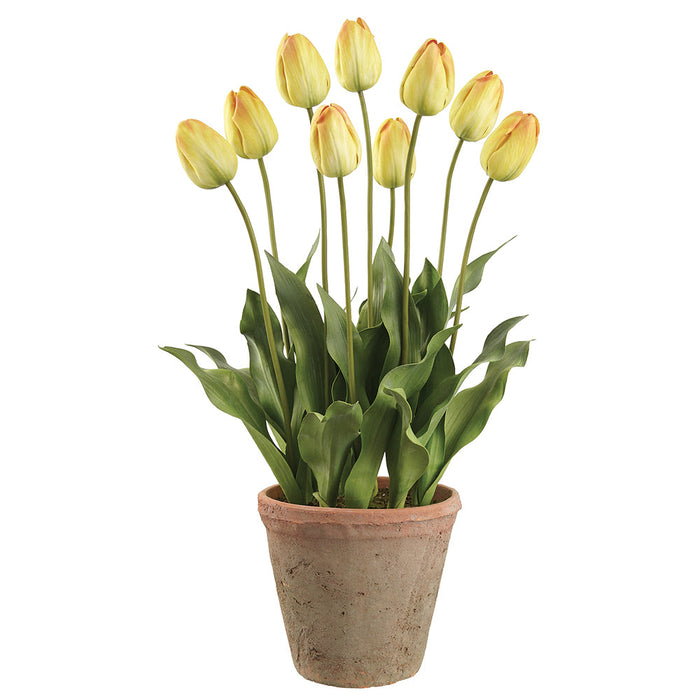 27" Tulip Silk Flower Arrangement w/Clay Pot -Yellow (Pack of 2) - LFT582-YE