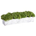 8"Hx26"W Artificial Sedum & Skimmia Flower Arrangement w/Cement Pot -Green - LFX019-GR