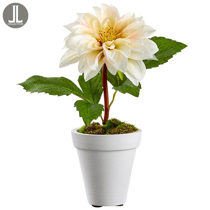 9.5" Silk Dahlia Flower Arrangement w/Clay Pot -Ivory (pack of 6) - LHD471-IV