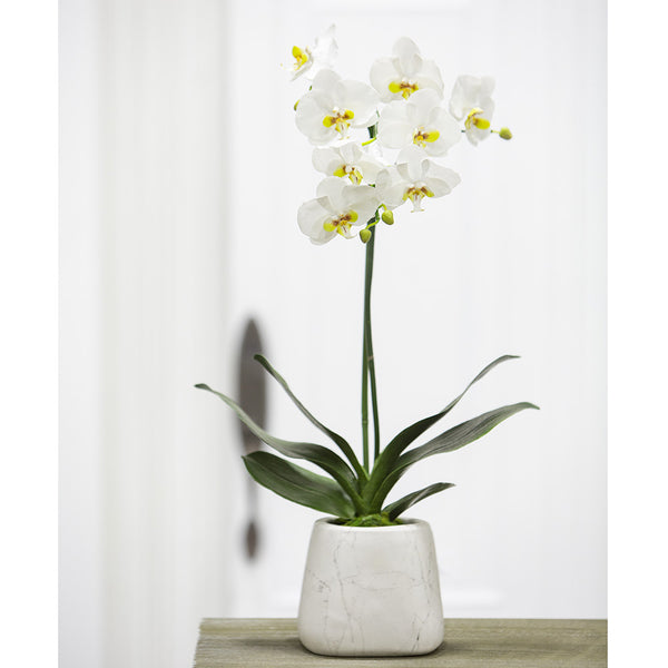 30" Hand-Wrapped Phalaenopsis Orchid Silk Flower Arrangement -White - LHO231-WH