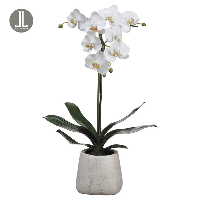 30" Hand-Wrapped Phalaenopsis Orchid Silk Flower Arrangement -White - LHO231-WH
