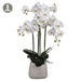 35" Handwrapped Phalaenopsis Orchid Silk Flower Arrangement -White - LHO232-WH