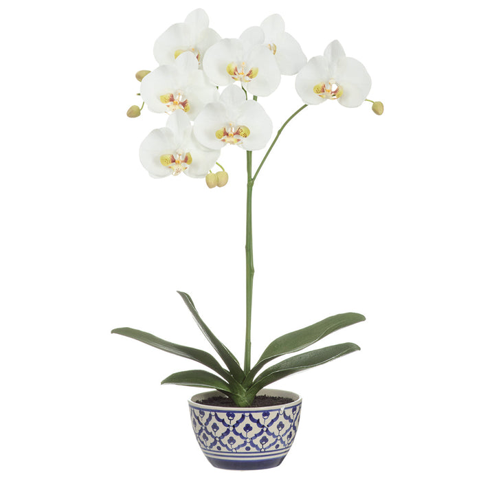 25" Hand-Wrapped Phalaenopsis Orchid Artificial Flower Arrangement w/Ceramic Vase -Cream/Green - LHO523-CR/GR