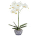 25" Hand-Wrapped Phalaenopsis Orchid Artificial Flower Arrangement w/Ceramic Vase -Cream/Green - LHO523-CR/GR