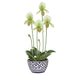 20" Hand-Wrapped Lady's Slipper Orchid Artificial Flower Arrangement w/Ceramic Vase -Cream/Green - LHO525-CR/GR