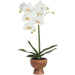24" Hand-Wrapped Phalaenopsis Orchid Artificial Flower Arrangement w/Wood Planter -Cream/Green - LHO530-CR/GR