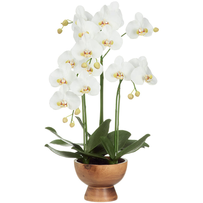 27" Hand-Wrapped Phalaenopsis Orchid Artificial Flower Arrangement w/Wood Planter -Cream/Green - LHO533-CR/GR