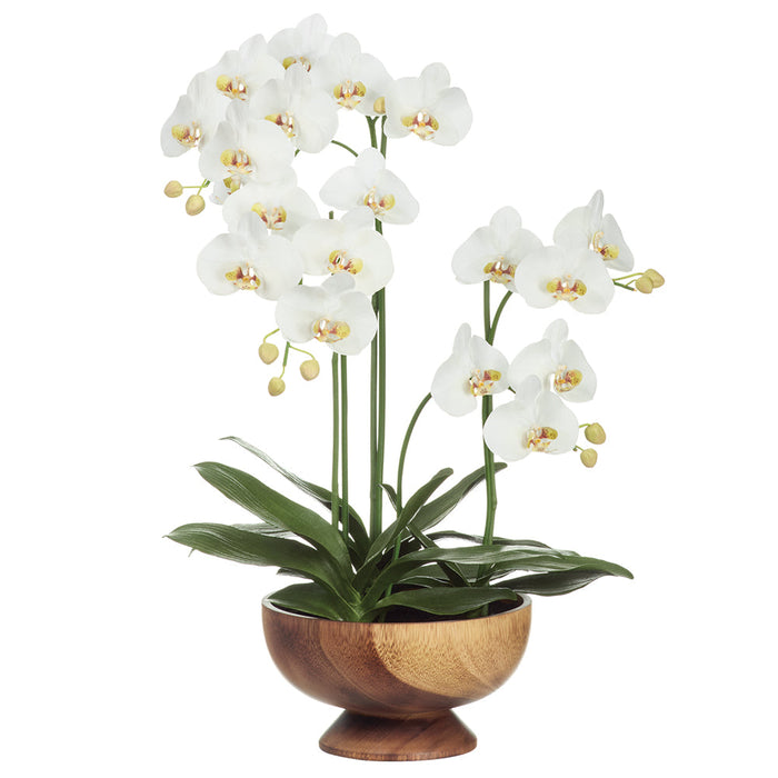 32" Hand-Wrapped Phalaenopsis Orchid Artificial Flower Arrangement w/Wood Planter -Cream/Green - LHO536-CR/GR