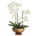 32" Hand-Wrapped Phalaenopsis Orchid Artificial Flower Arrangement w/Wood Planter -Cream/Green - LHO536-CR/GR