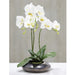 22" Silk Phalaenopsis Orchid Flower Arrangement w/Ceramic Pot -White/Green - LHO612-WH/GR