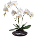 22" Silk Phalaenopsis Orchid Flower Arrangement w/Ceramic Pot -White/Green - LHO612-WH/GR
