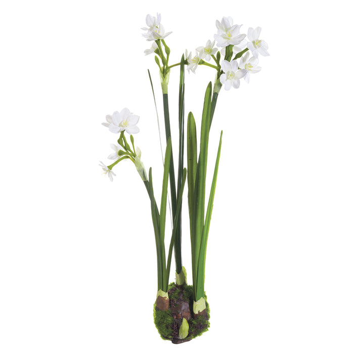 14.5" Hand-Wrapped Silk Paperwhite Flower Arrangement w/Bulb Base -White (Pack of 6) - LHP181-WH