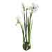14.5" Hand-Wrapped Silk Paperwhite Flower Arrangement w/Bulb Base -White (Pack of 6) - LHP181-WH