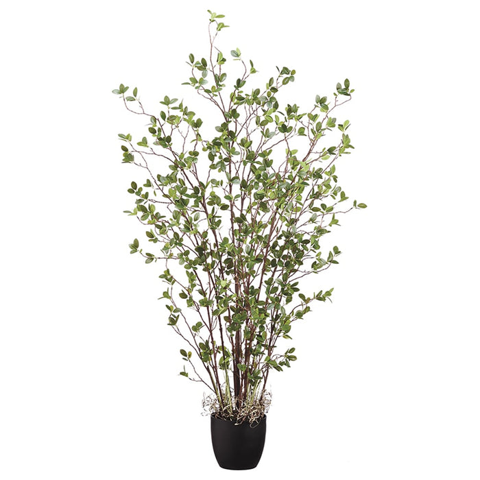 silk house plant 5' Mini Leaf Silk Plant w/Pot -Green