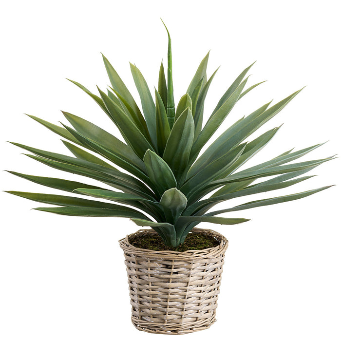 22" Agave Artificial Plant w/Basket -Green (Pack of 2) - LPA006-GR