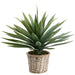 22" Agave Artificial Plant w/Basket -Green (Pack of 2) - LPA006-GR
