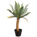32" Artificial Agave Plant w/Plastic Pot -Green (pack of 2) - LPA010-GR