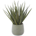 21" Real Touch Agave Artificial Plant w/Plastic Pot -Green - LPA056-GR