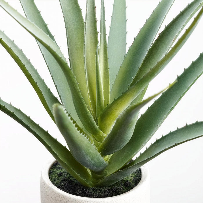 17" Artificial Aloe Plant w/Cement Pot -Green (Pack of 4) - LPA084-GR