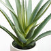17" Artificial Aloe Plant w/Cement Pot -Green (Pack of 4) - LPA084-GR