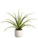 17" Artificial Aloe Plant w/Cement Pot -Green (pack of 4) - LPA084-GR