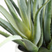 21" Artificial Aloe Plant w/Cement Pot -Green - LPA087-GR