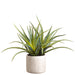 21" Artificial Aloe Plant w/Cement Pot -Green - LPA087-GR