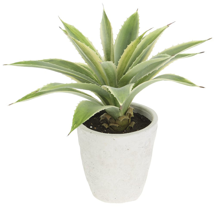 16" Agave Artificial Plant w/Cement Pot -Green/Cream (pack of 6) - LPA123-GR/CR