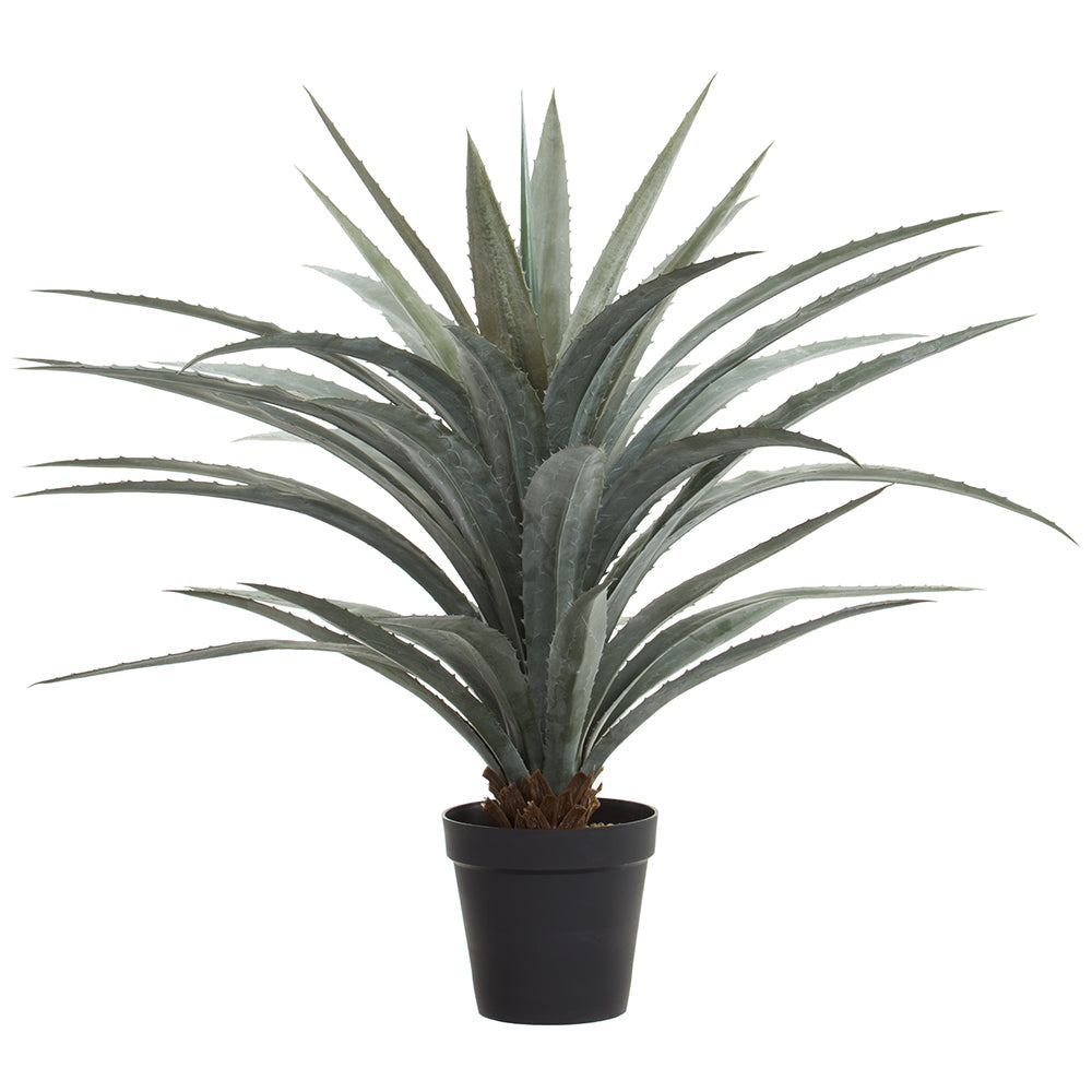 artificial agave succulent 4' Artificial Agave Plant w/Plastic Pot -Green/Gray