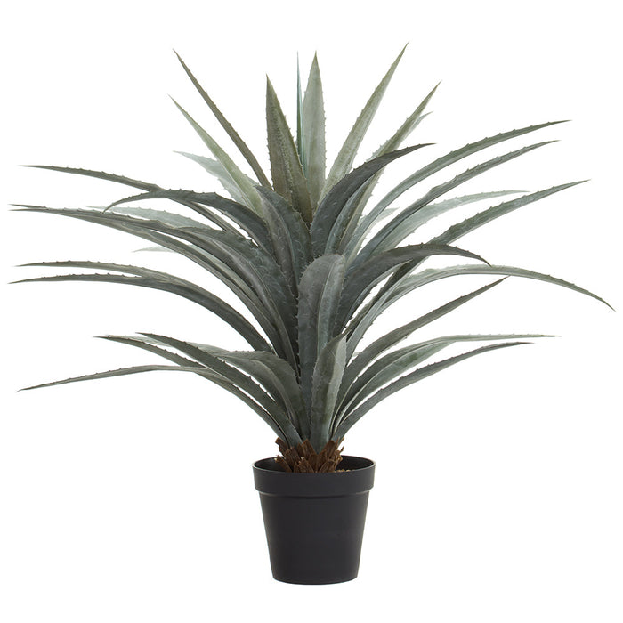 plastic agave plant 4' Artificial Agave Plant w/Plastic Pot -Green/Gray