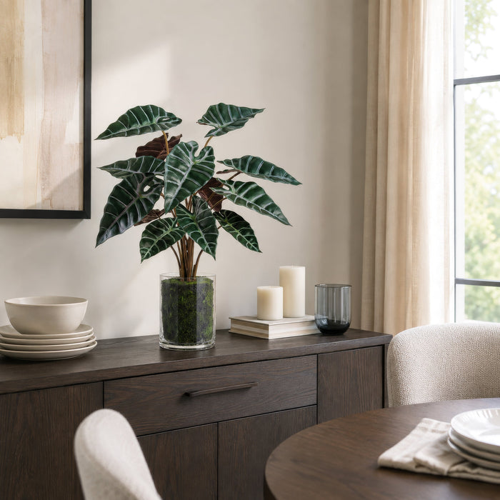 25" Alocasia Leaf Silk Plant w/Glass Vase -2 Tone Green (Pack of 2) - LPA140-GR/TT