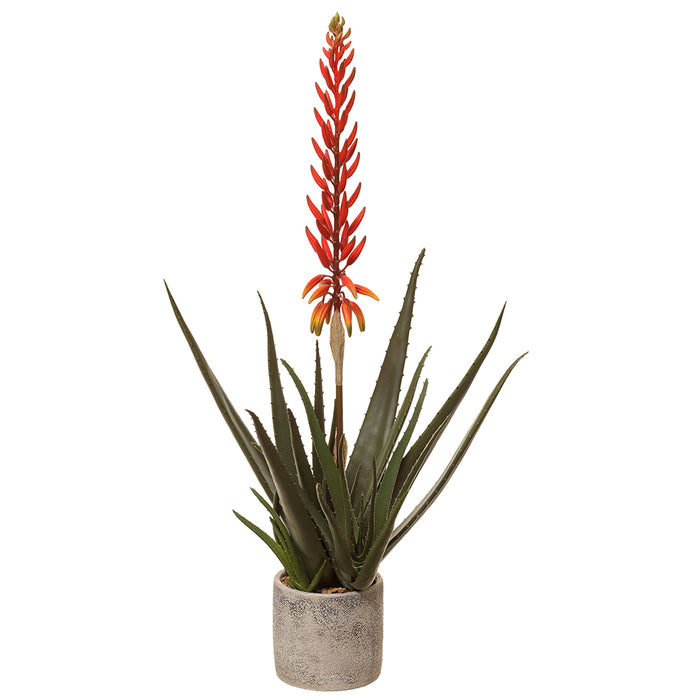 30" Blooming Agave Artificial Plant w/Cement Pot -Red (pack of 2) - LPA163-GR/RE
