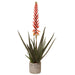 30" Blooming Agave Artificial Plant w/Cement Pot -Red (pack of 2) - LPA163-GR/RE