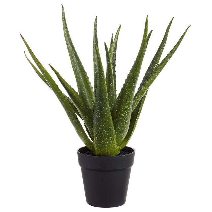 18" Aloe Artificial Plant w/Plastic Pot -2 Tone Green - LPA182-GR/TT