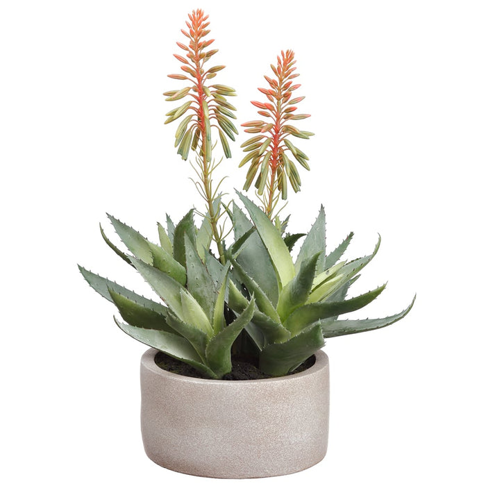 14" Blooming Agave Leaf Artificial Plant w/Cement Pot -Pink/Green (Pack of 2) - LPA314-PK/GR