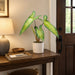 22.75" Alocasia Leaf Silk Plant w/Pot -Green (Pack of 4) - LPA358-GR