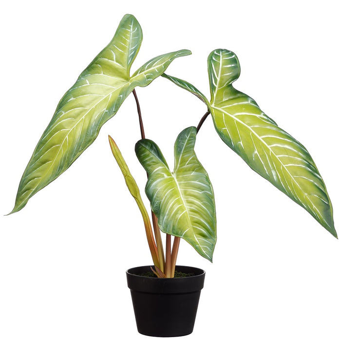 22.75" Alocasia Leaf Silk Plant w/Pot -Green (Pack of 4) - LPA358-GR