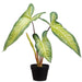 22.75" Alocasia Leaf Silk Plant w/Pot -Green (Pack of 4) - LPA358-GR