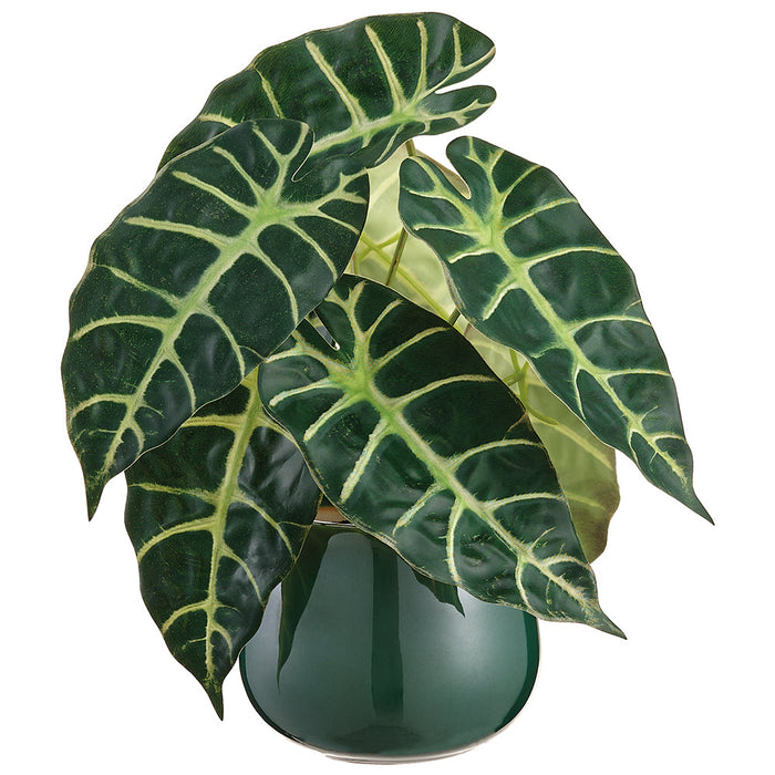 10" Alocasia Leaf Silk Plant w/Ceramic Vase -Green (Pack of 6) - LPA705-GR