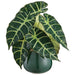 10" Alocasia Leaf Silk Plant w/Ceramic Vase -Green (Pack of 6) - LPA705-GR